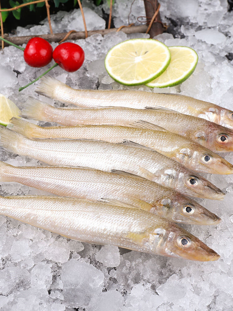 国产沙丁鱼批发海鲜金色小沙丁冷冻沙尖鱼沙钻鱼沙梭鱼无冰衣花约朵娜