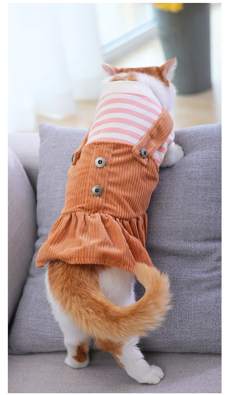 猫咪衣服小猫猫宠物夏季蓝猫布偶幼猫奶薄款可爱的防掉毛春夏裙子粉白