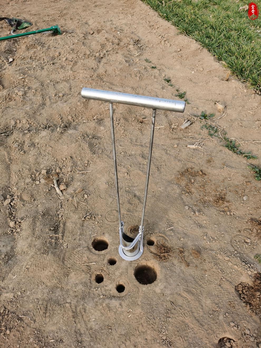 打孔神器草坪打洞农用工具栽树苗移苗挖坑神器播种移苗取土打洞器
