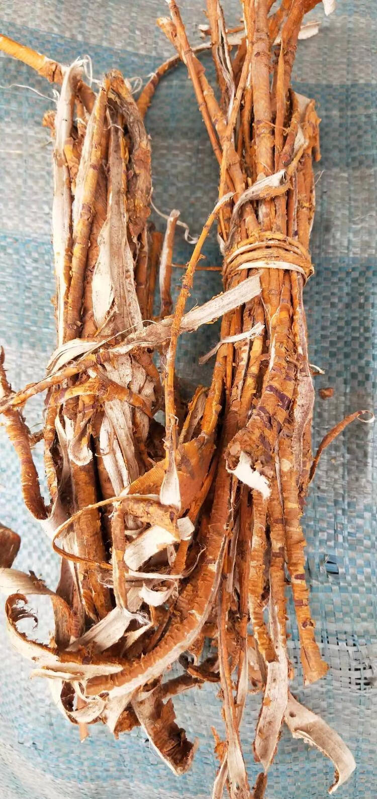 特2019年新货老桑树根皮桑根皮桑白皮老桑皮一1斤白桑皮洗伊梵麦