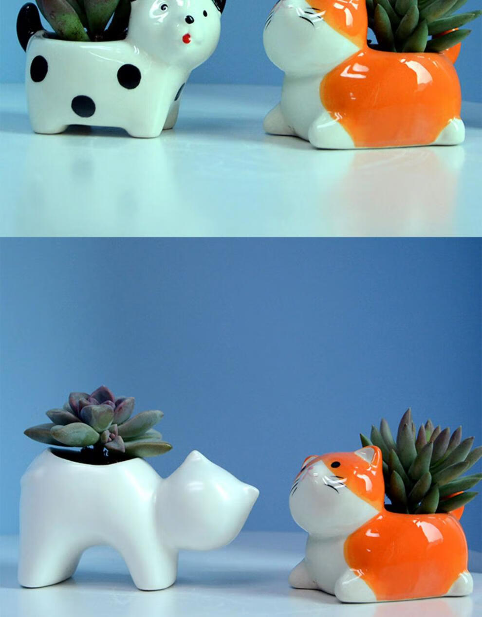 真自在创意个性卡通迷你多肉花盆器陶瓷简约多彩可爱小动物ins新年
