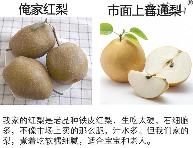 铁皮梨红梨煮着吃的梨老树红皮梨铁梨5斤装果园直