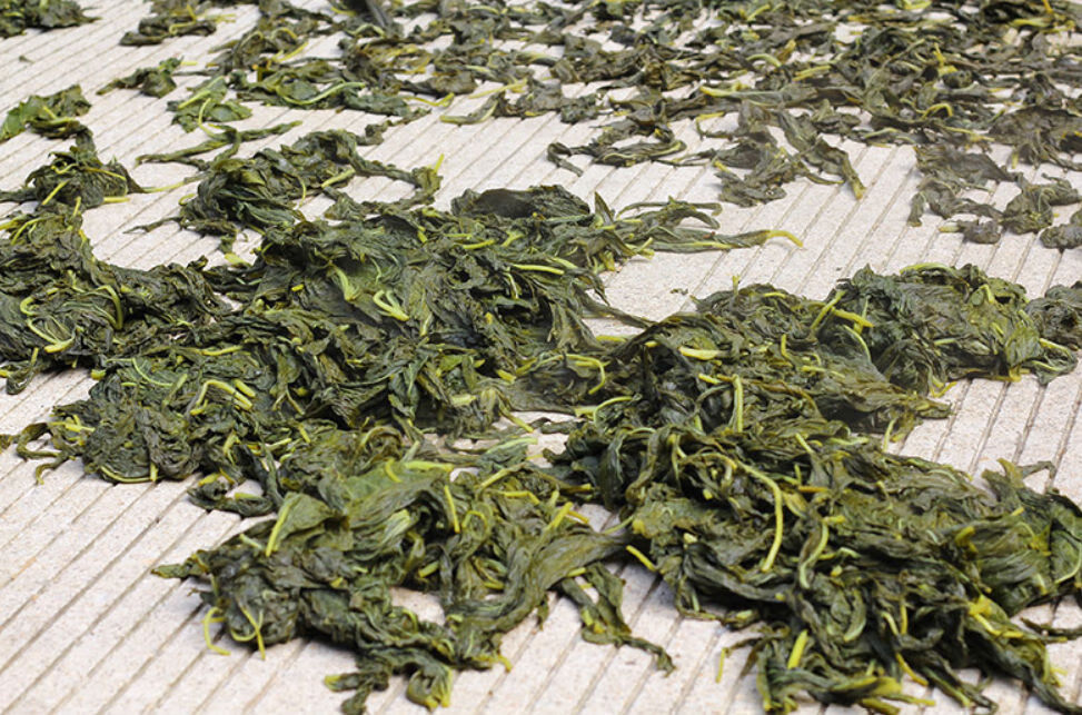 农晒制干芝麻叶干菜野菜芝麻油叶子新货河南特产芝麻叶面条干菜 干