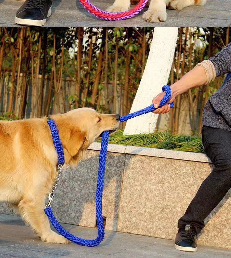 中型大型犬狗链子狗狗牵引绳遛狗绳金毛拉布拉多p链狗绳宠物用品一套