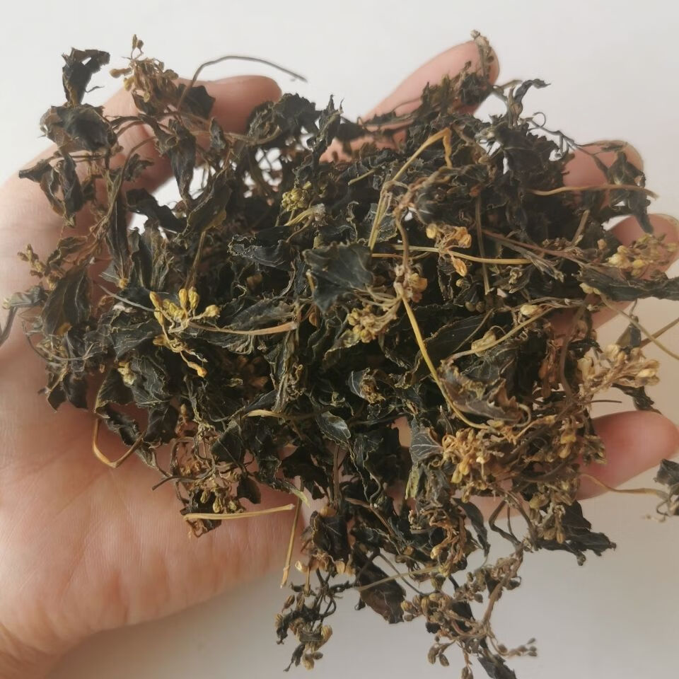 镇巴树花菜陕西汉中土特产天然珍珠花农家自制干货山珍龙须菜 1斤