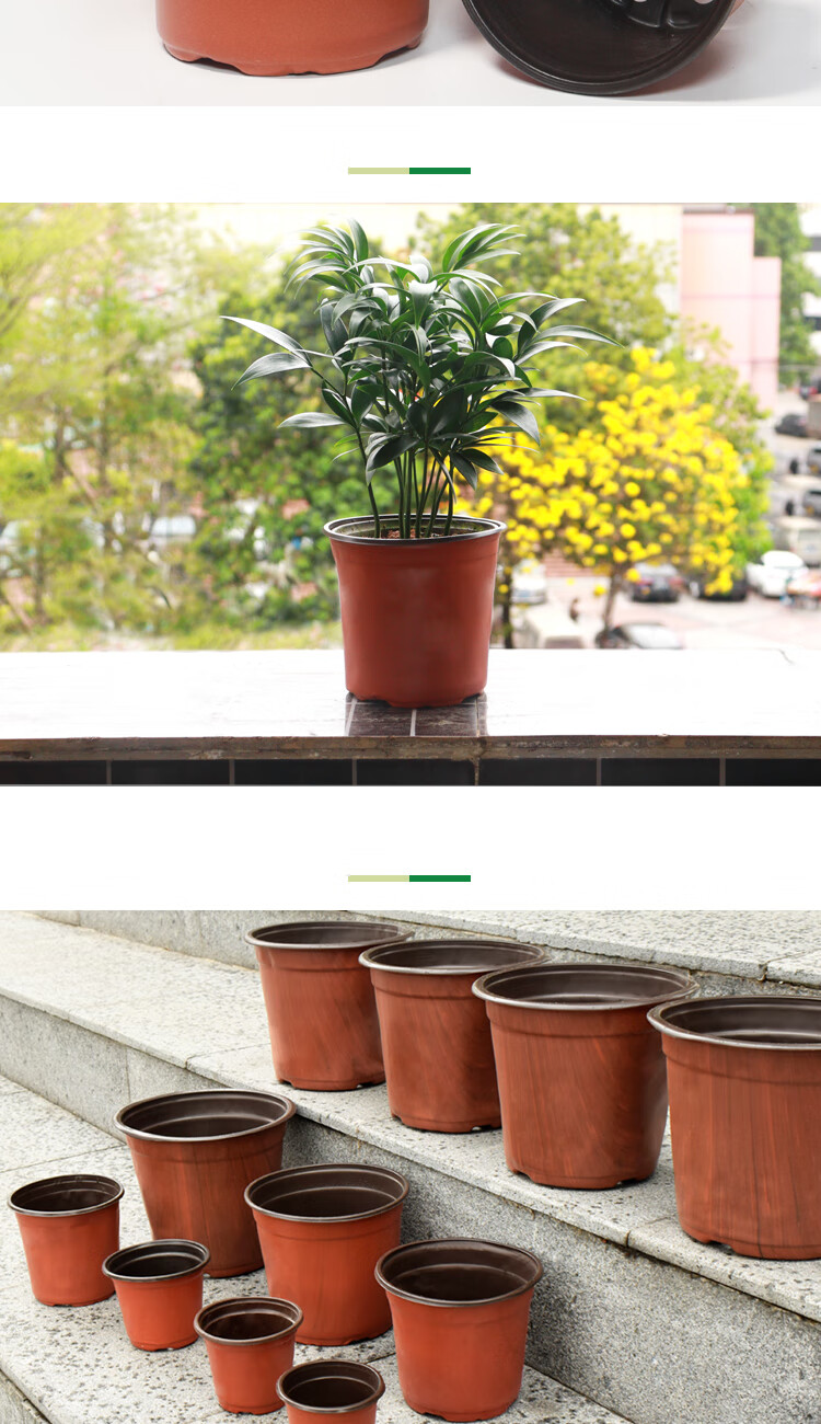 育苗盆营养钵加厚塑料室内外园艺绿植花卉花盆育苗花盆口径17cm20个
