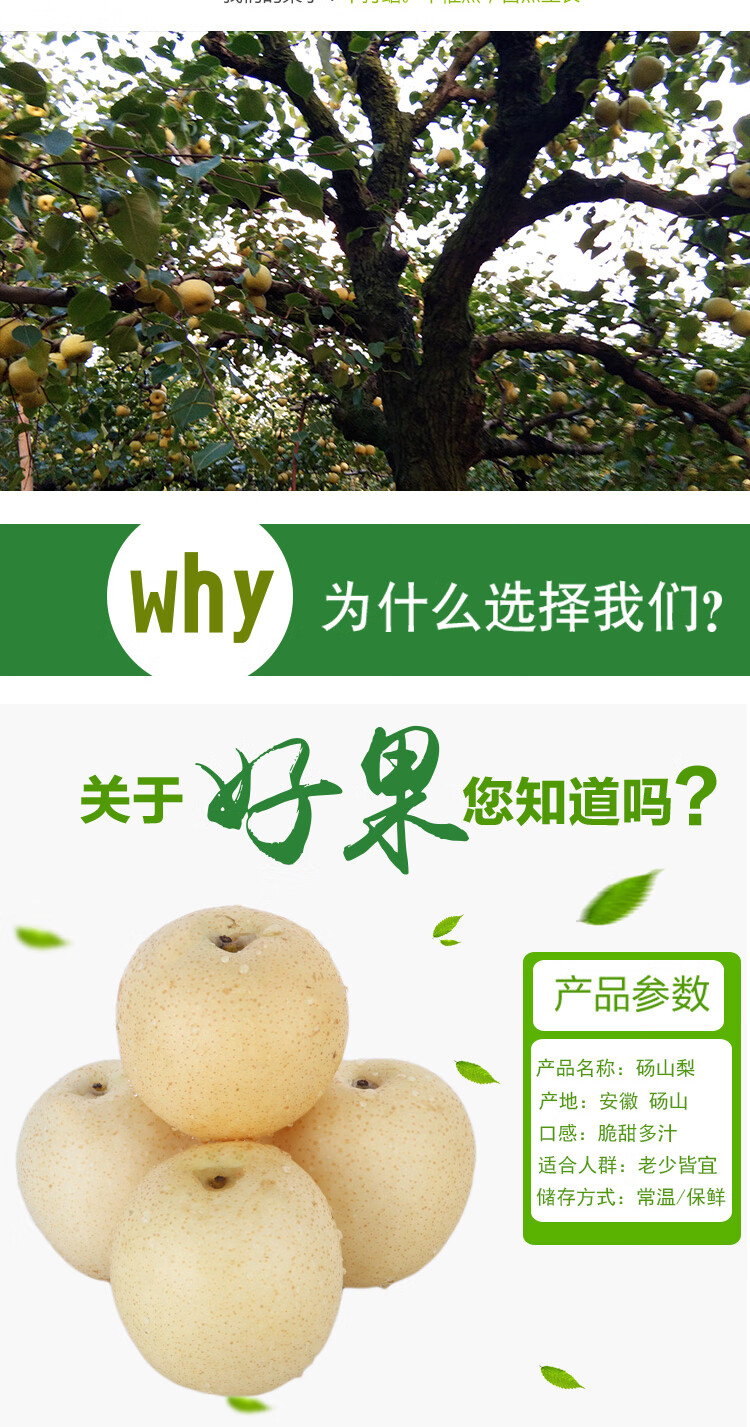 砀山梨安徽砀山梨子新鲜酥梨当季水果脆甜3斤5斤10斤3斤