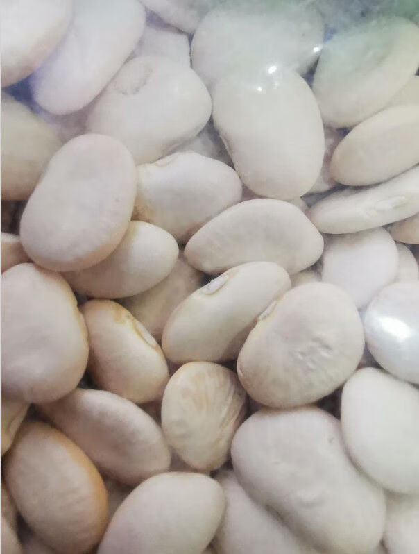 京选美食崇明特产顶胜洋扁豆农家自种白扁豆当季新鲜蔬菜杂粮洋扁豆白