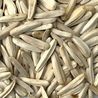 新疆尖下巴马牙瓜子500g牙签白葵花籽马牙瓜子2斤2袋