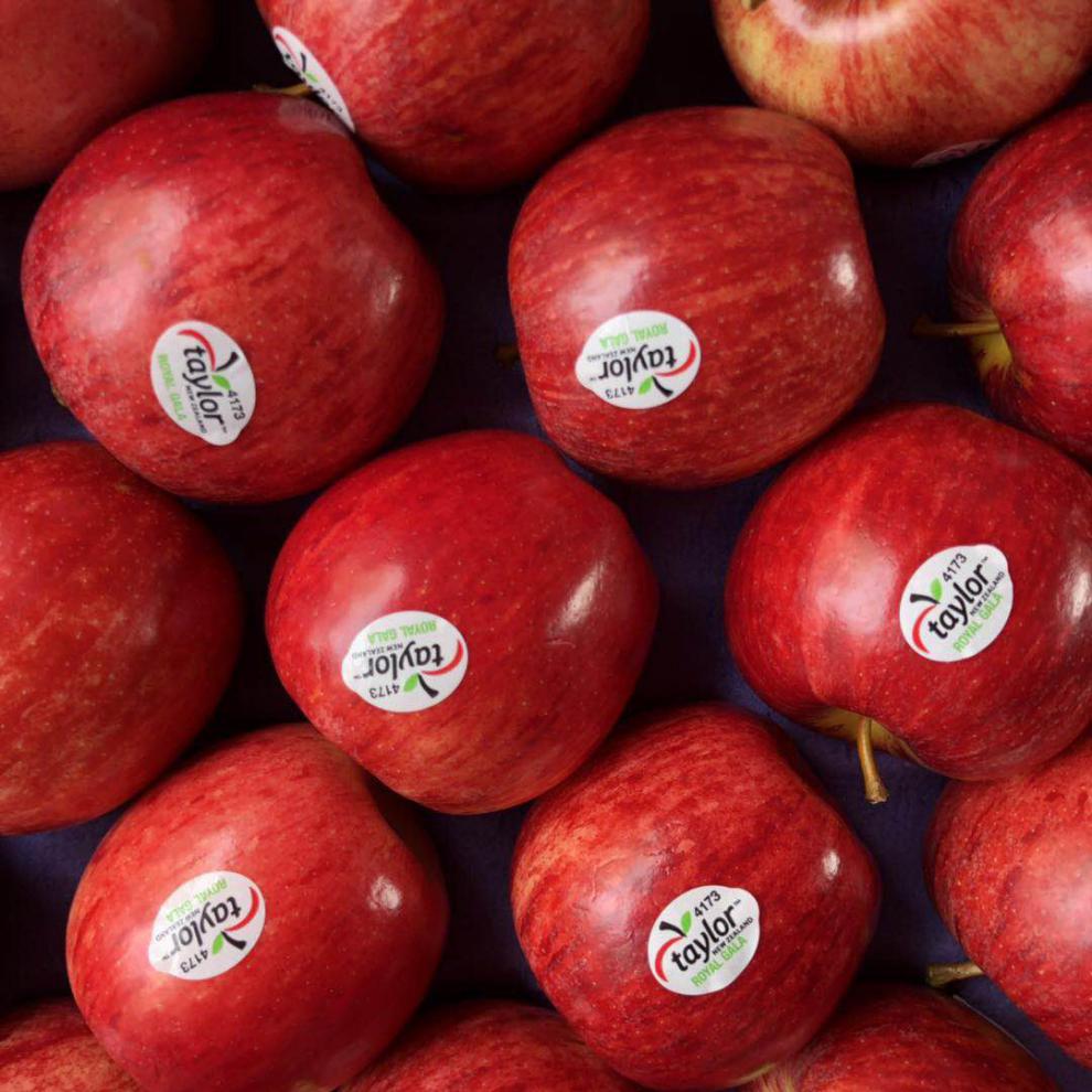 新西兰进口加力果 12个 当季嘎啦果姬娜果水果 2050g 60mm以下