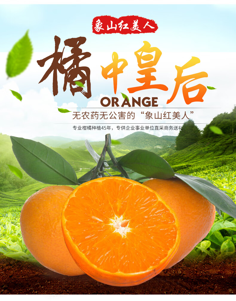促销正宗象山红美人特产柑橘桔子爱媛28号新鲜水果礼盒装6斤12个贡品