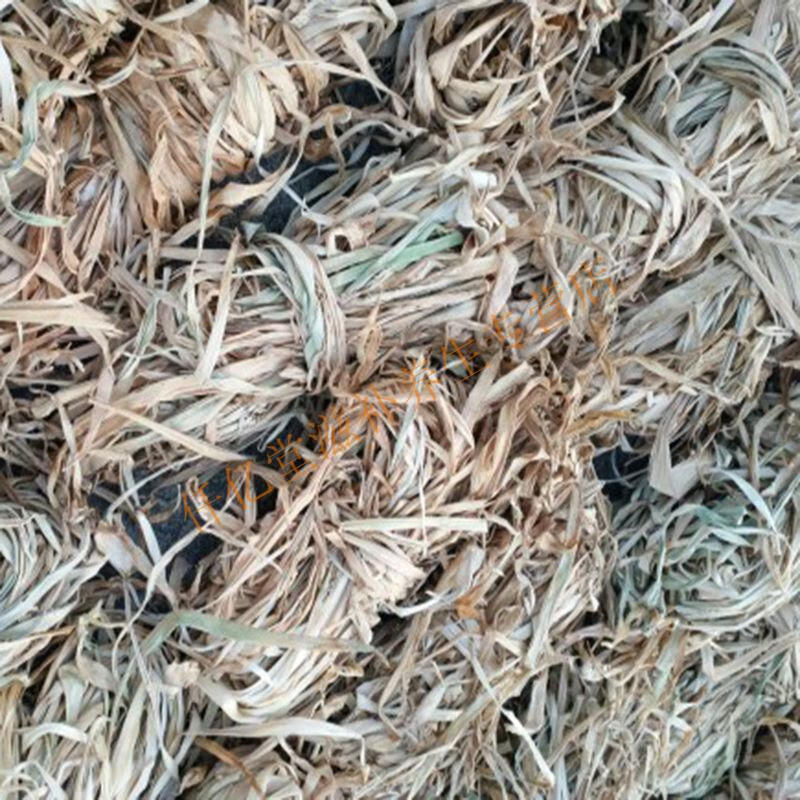 干姜苗姜草女人坐月子洗头宝宝泡澡老人泡脚专用姜叶干500g一斤装