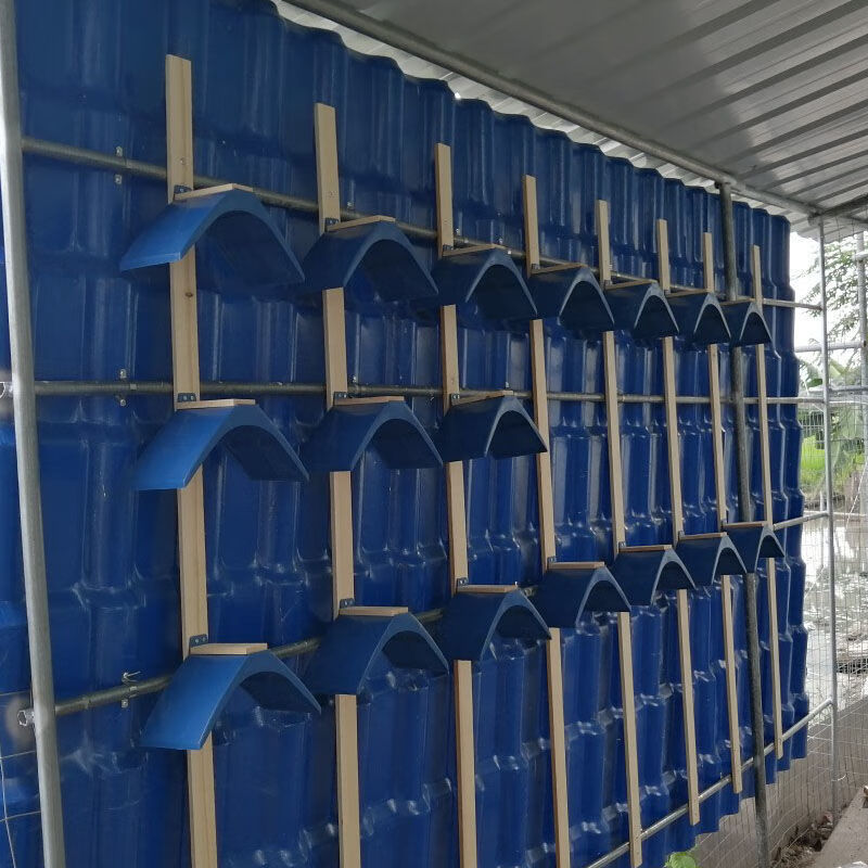 鸽子用品带木条栖架塑料站架鸽子栖息架鸽具休息架鸽子落架鸽栖架加厚