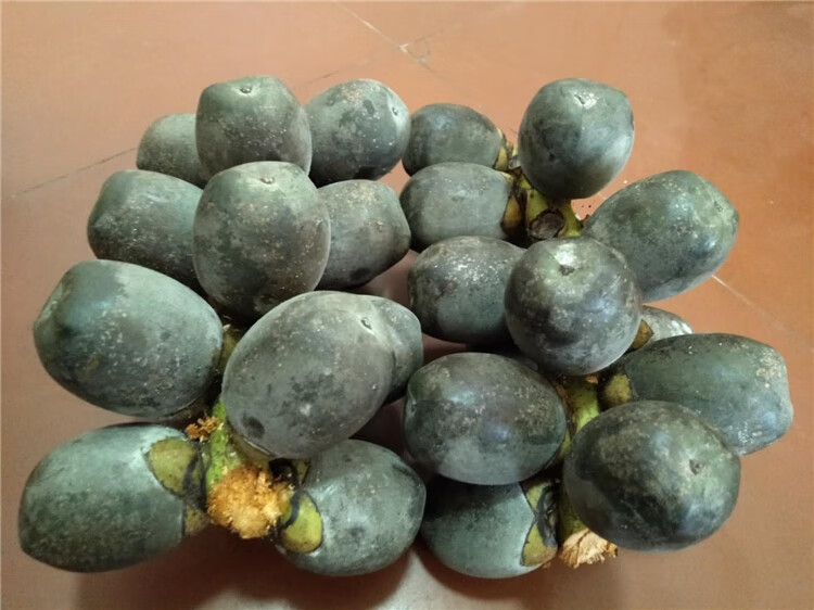 贝娇芬 越南新鲜追风果野生刺虎鲜果泡酒大果20个装【图片 价格 品牌