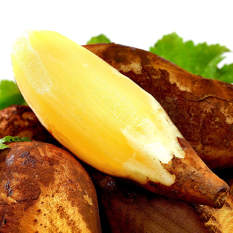 雪莲果天山特级10斤水当季整箱5大红心新鲜一云南雪连 5斤 大果