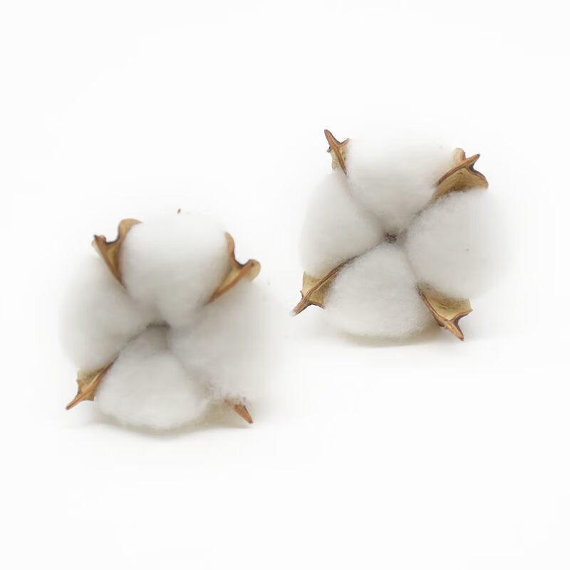 棉花天然干花仿真花家居装饰婚庆手捧花墙植物墙假花 桃红 5个