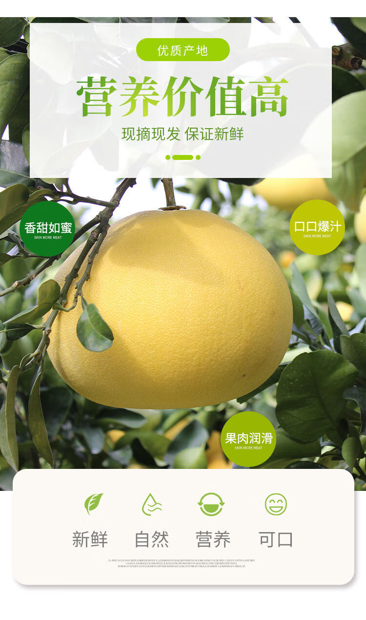 年货精选正宗玉环文旦柚子当季新鲜孕妇现摘现发水果浙江台州楚门蜜柚