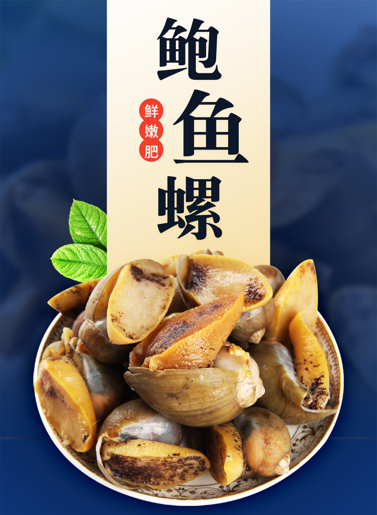 鲍鱼螺海鲜海蜗牛鲍螺鲜活速冻黄金鲍珍珠鲍贝类10斤装xl