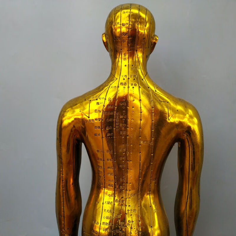 针灸铜人摆件纯铜人体经络穴位图脉搏人体模型 筋脉中师医馆 1约长18