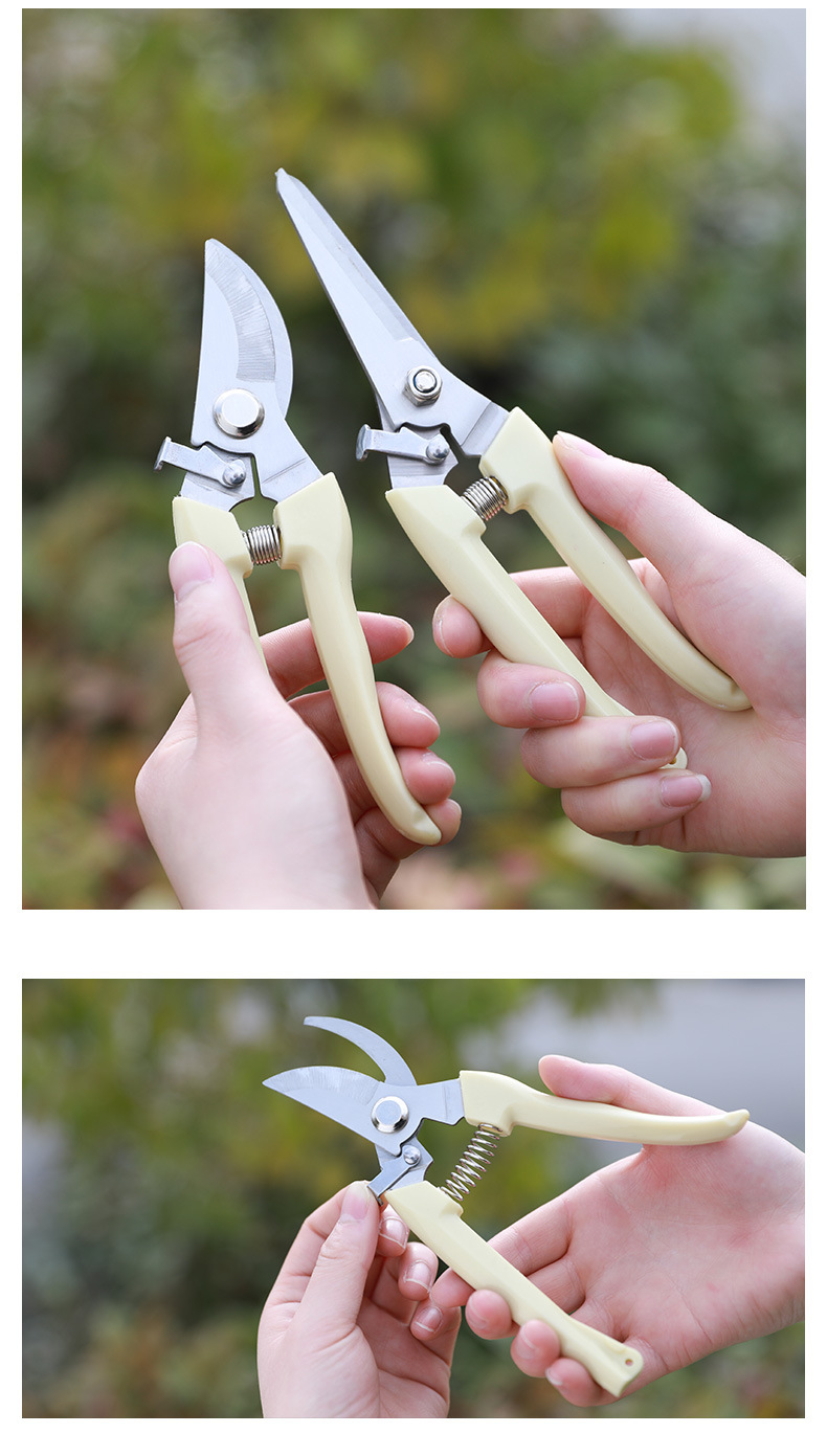 修树剪剪枝果树修枝剪刀园艺园林修剪家用强力剪子神器花剪剪枝剪刀虎