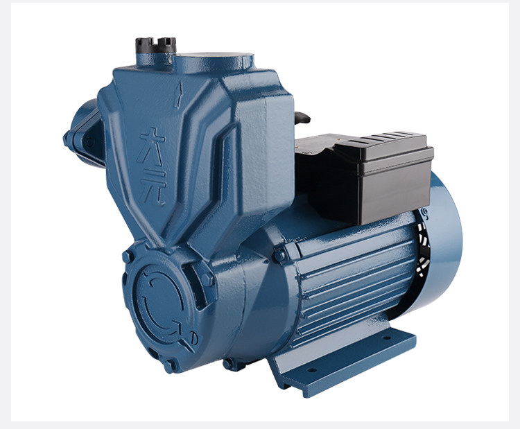 大元wzb单相自吸高压泵高扬程家用自来水增压泵抽水泵水塔增压泵1wzb