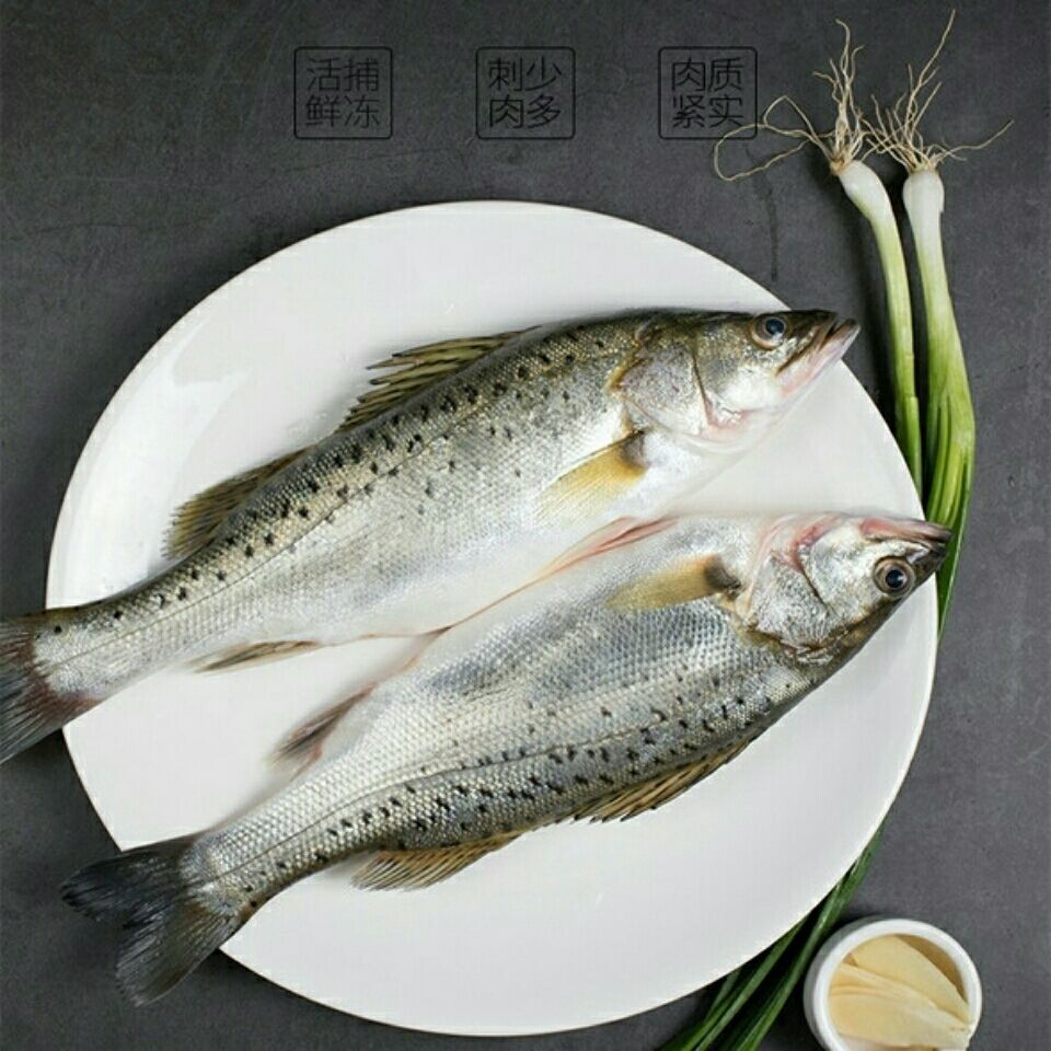 新鲜鲈鱼七星鲈鱼花鲈海鲜1条尝鲜每条1斤无冰衣无水份净重