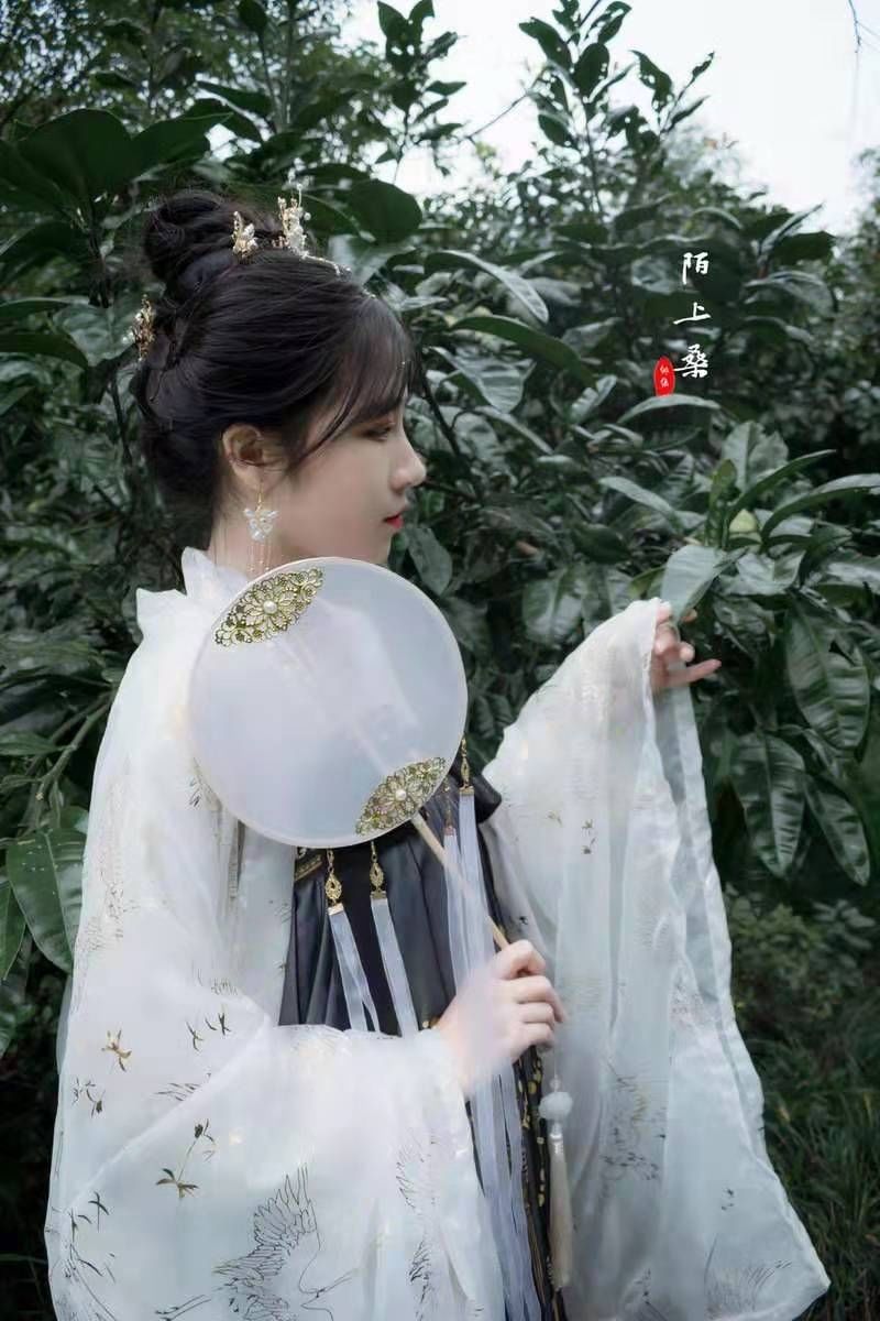 云鹤大码汉服女仙气齐胸襦裙清新自然黑云鹤汉服超大码四季服 六米