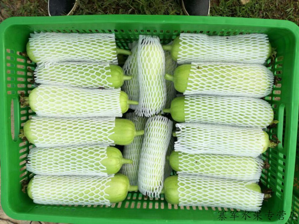 农家自种湖南本地肉丝瓜135斤装新鲜采摘牛奶白玉丝瓜短粗香丝瓜蔬菜