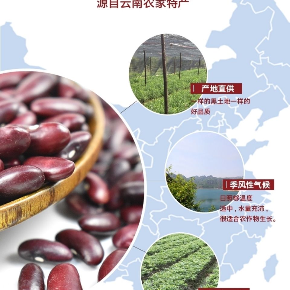 云南本地自种红芸豆新豆红腰豆煲汤煮粥酸汤红豆五斤紫红腰豆