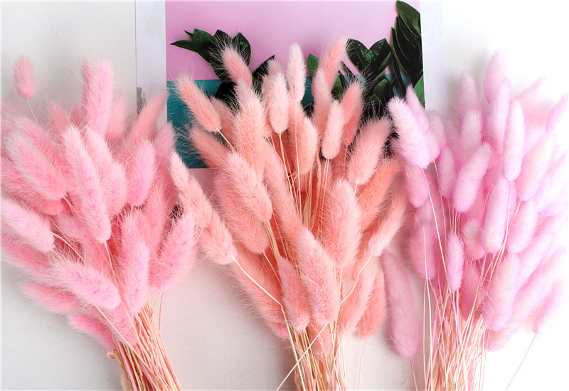 卧室家居少女心房间桌面摆设北极象50支粉色兔尾草含长颈花瓶干花包