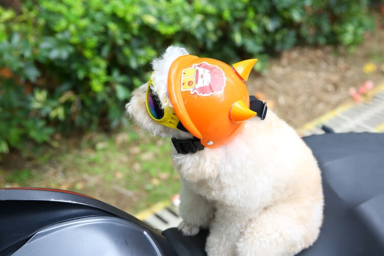 宠物摩托车头盔宠物狗摩托车头盔可爱狗狗戴的机车大型犬泰迪猫咪安全