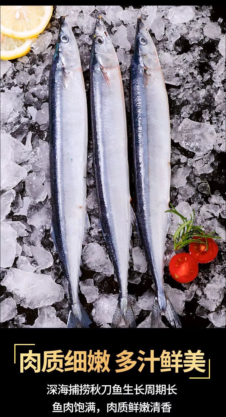 秋刀鱼新鲜冷冻大号鲜活海捕深海鱼日式秋刀鱼烧烤即食食材整箱 2斤