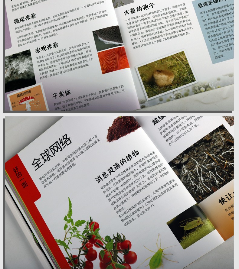 《真菌可不仅是蘑菇 酷酷的自然 童书 儿童百科全书 少儿科普书籍