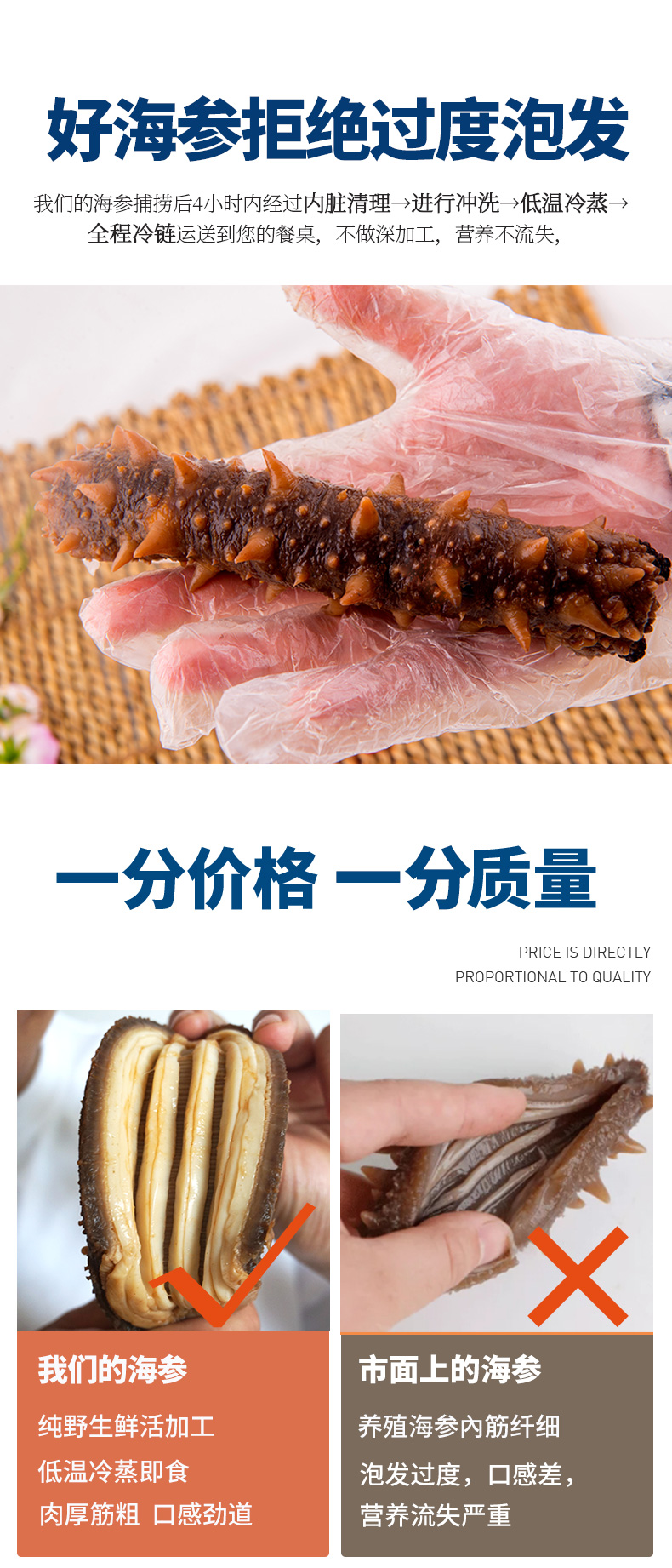 purecoast美国红参阿拉斯加红刺参加拿大进口即食海参500克48只1斤