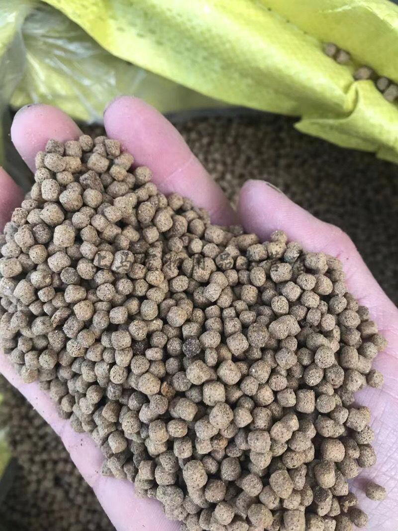 鱼饲料草鱼鲫鱼鲤鱼颗粒浮水饲料养殖鱼饲料颗粒漂浮料5斤 3毫米浮料