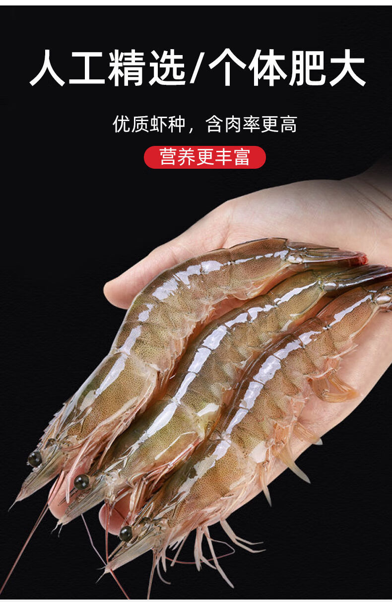 顺丰德邦青岛大虾鲜活虾海鲜水产海捕新鲜冷冻大虾白虾海鲜批发鲜露哒