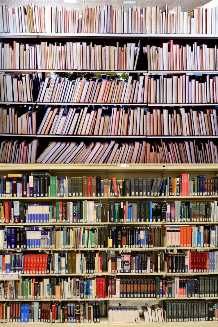 京品推荐书架背景布3d立体书柜直播背景墙讲师主播录视频背景布书架