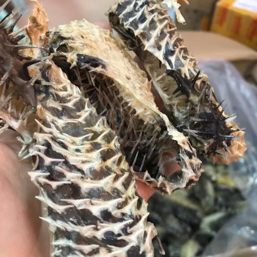 刺鱼皮250g 250g 刺龟皮刺豚1斤 高赞煲汤阳江海陵岛特产足干新鲜 250