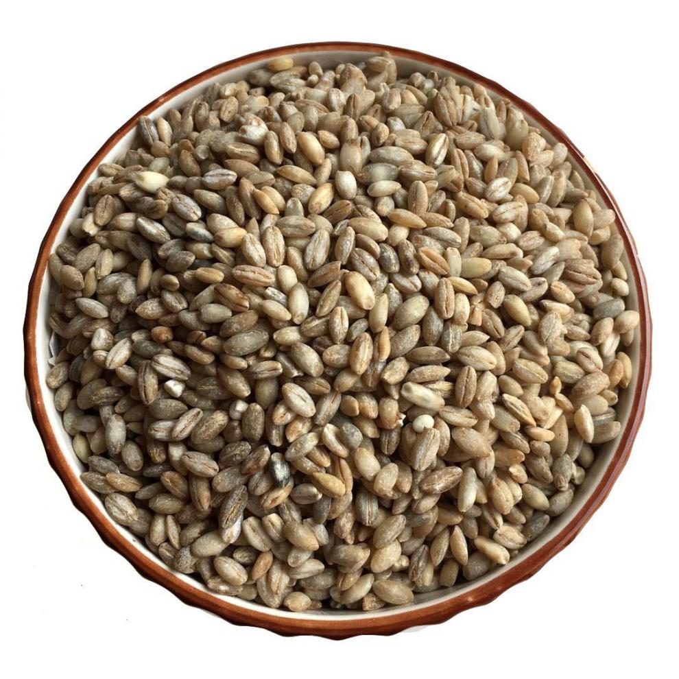 精选青稞米1斤5斤青藏高原蓝青稞青海特产五谷杂粮新鲜粗粮白青稞青稞