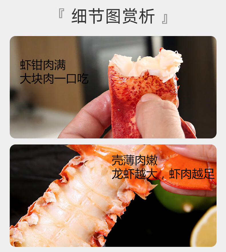 龙虾 龙虾波顿大龙虾特大波龙波斯海鲜水产大活虾450-550g【图片 价格
