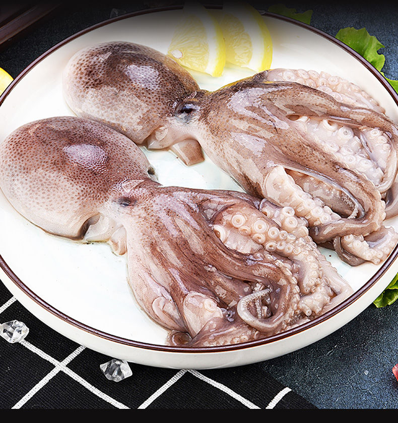 鲜活大长腿八爪鱼海鲜爆头八爪鱼海鲜活体 长腿八爪(四斤装)品质