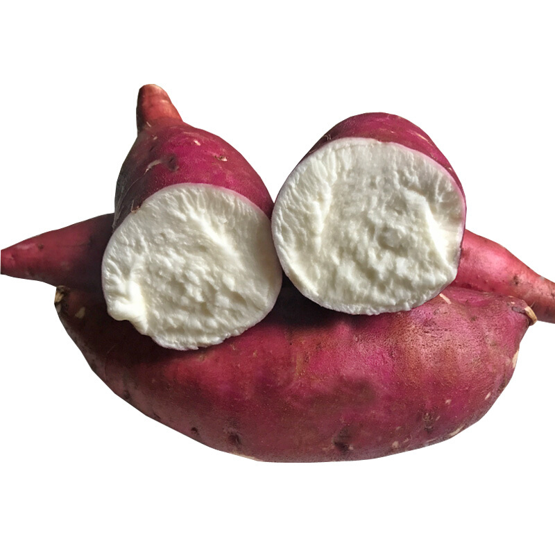 白心板栗薯河南新鲜白心红薯红皮白肉粉哈蜜番薯白瓤地瓜干面甜5斤