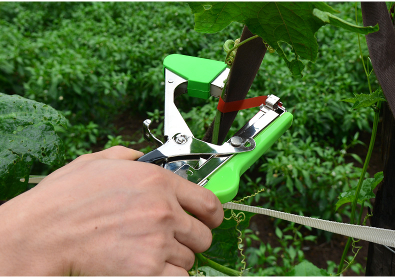 园艺工具 汐岩 汐岩 新款葡萄绑枝器绑蔓器捆绑机 西红柿番茄黄瓜绑架