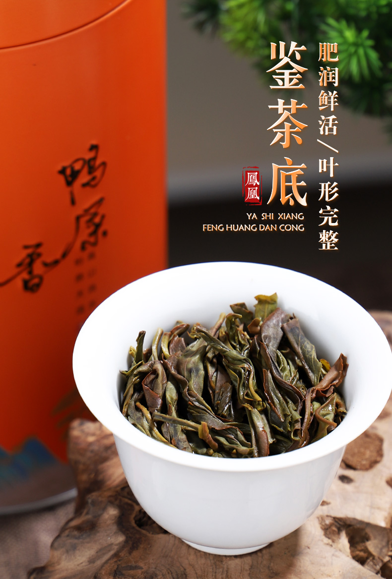 5折春茶鸭屎香凤凰单丛茶潮州雪片清香型凤凰单枞茶礼盒装乌龙茶500g