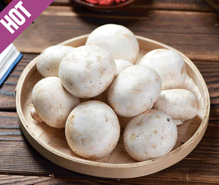 顺丰速发口蘑新鲜白蘑菇1000g食用菌菇草菇蔬菜西餐双胞菇年货