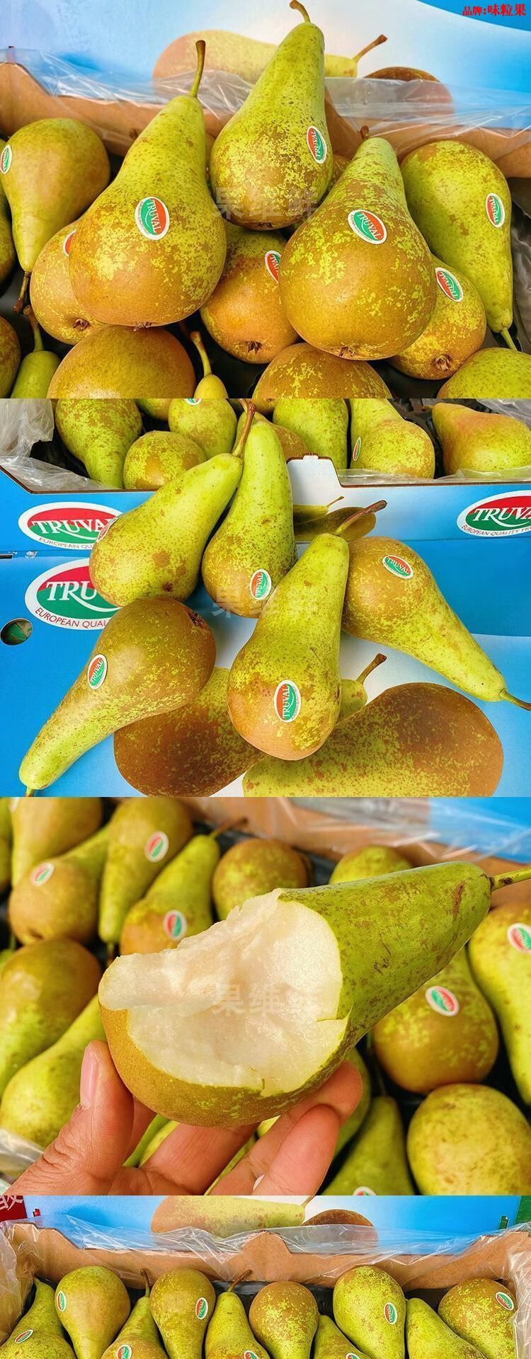 比利时啤梨荷兰青啤梨 当季新鲜水果梨子软硬都甜 8斤 青啤梨【图片