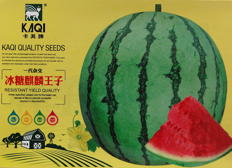 黑美人f1西瓜原装5克【图片 价格 品牌 报价】-京东
