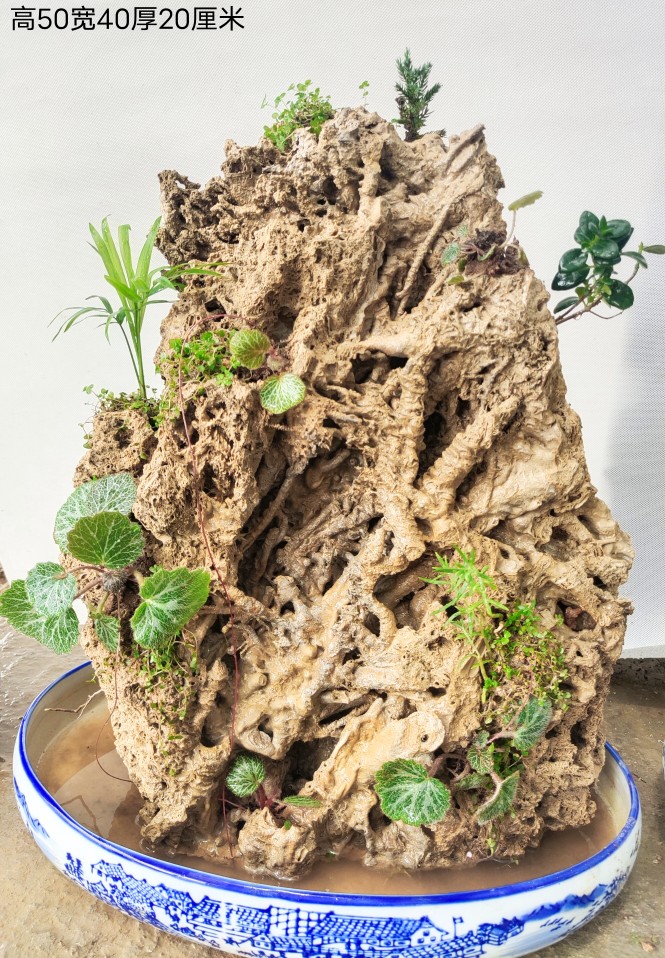 吸水石 风景石上水石假山石头盆景客厅造景石上水石吸水石天然原石 浅