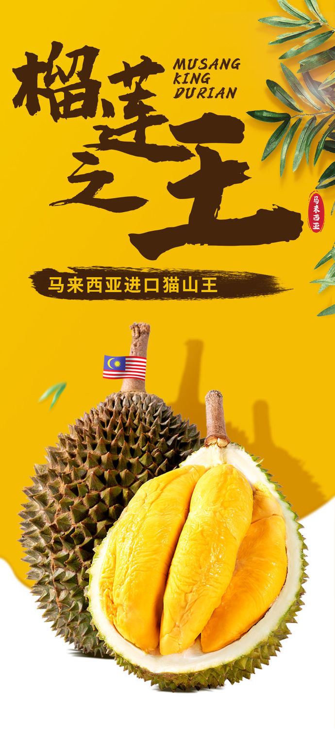 猫山王榴莲 d197马来西亚猫山王榴莲 整果带壳 新鲜果肉一个冷冻甜 3.