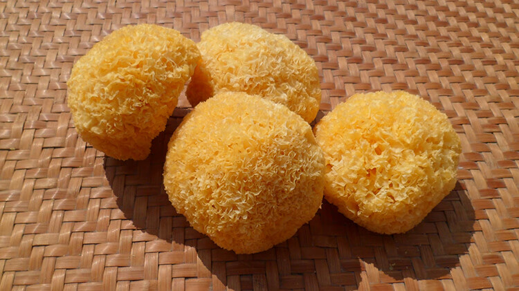 古田丑耳糯耳500g密花糯银耳干货散装白木耳出胶多福建雪耳